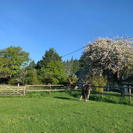 Gite Le Bonheur Est Dans Le Pre Saint-Pierre-Des-Ifs  Kültér fotó