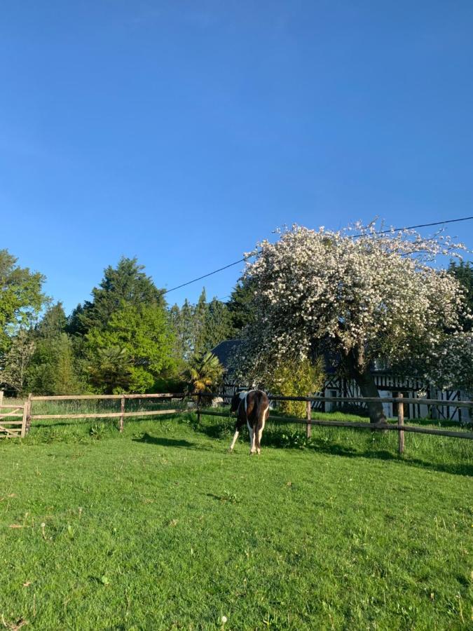Gite Le Bonheur Est Dans Le Pre Saint-Pierre-Des-Ifs  Kültér fotó